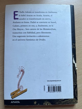 Las Metamorfosis de Ovidio
