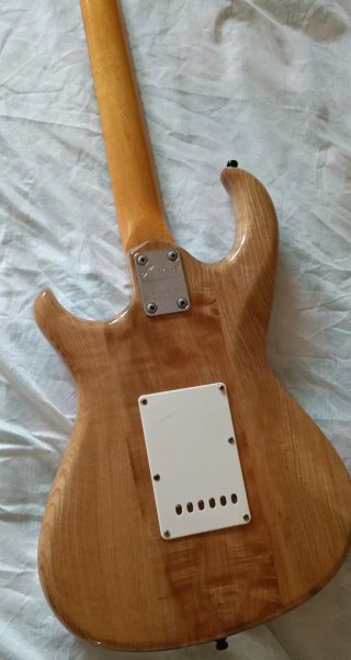 Guitarra Aria Pro II RS Series