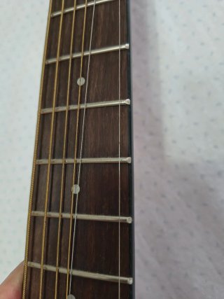 Harley Benton GS-Travel Mahogany