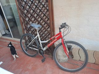 Bicicleta de montaña TOP TROTTER