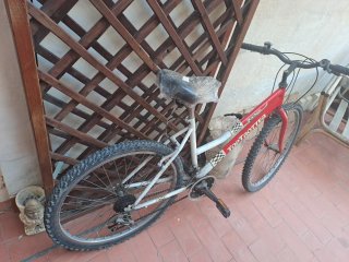 Bicicleta de montaña TOP TROTTER