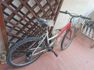 Bicicleta de montaña TOP TROTTER