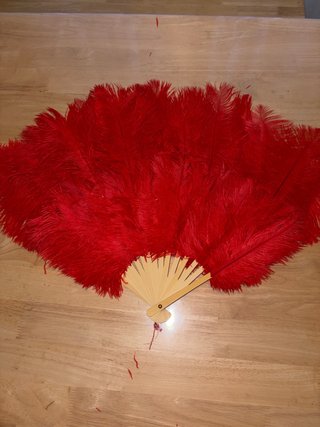 10 Abanicos de Plumas Rojas
