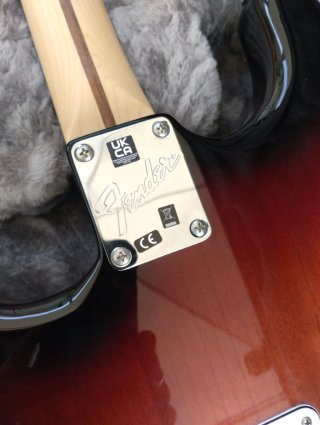 Guitarra Fender Stratocaster