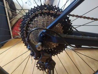 Orbea Alma H50 Talla M