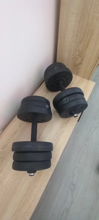 2 Mancuernas 10 kg cada una