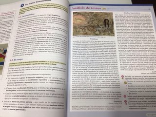Lengua castellana y literatura II. Libro del es...