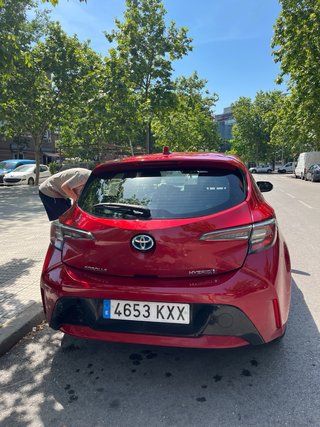 Toyota Corolla 2019