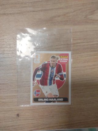 Cromos Erling Haaland Extra Bronce Mundial
