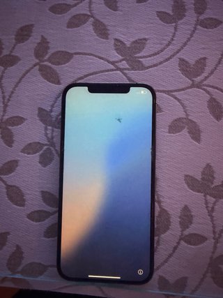 iPhone 12 Pro Max Grigio Siderale