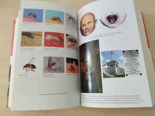 Insectos y Hecatombes II RBA Historia Natural de l