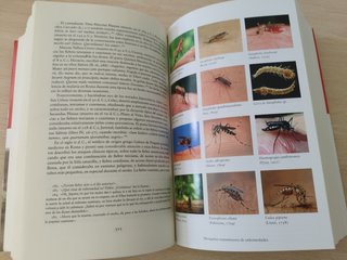 Insectos y Hecatombes II RBA Historia Natural de l