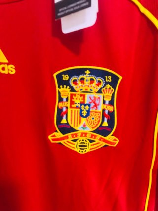 Camiseta Torres Eurocopa Talla L