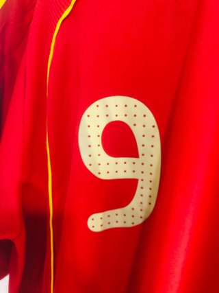 Camiseta Torres Eurocopa Talla L