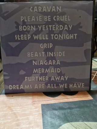 Vinilo The Beast Inside