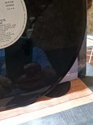 Vinilo The Beast Inside