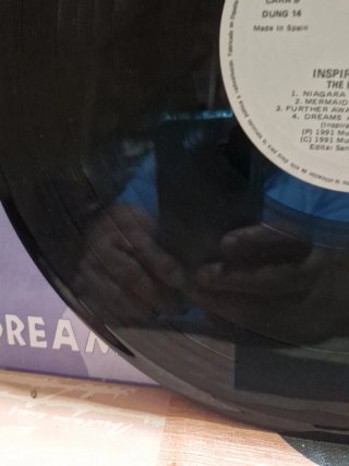 Vinilo The Beast Inside