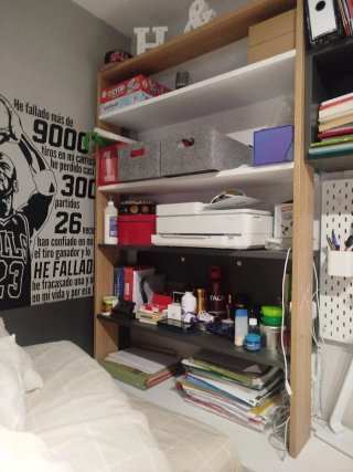 Habitacion Juvenil:Cama nido,mesa, estantería.ZGZA