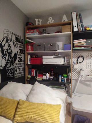 Habitacion Juvenil:Cama nido,mesa, estantería.ZGZA