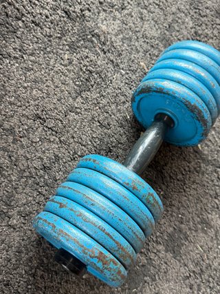1 Mancuerna 10 kg azul