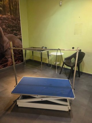 Peluqueria canina