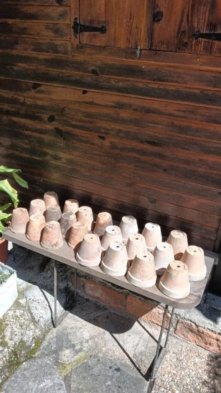Lote 11 vasi di terracotta