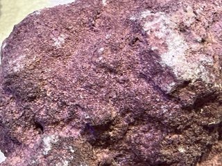 Roca para acuario marino nueva de MARCO ROCKS 4kg