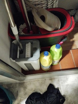 LIMPIADORA DE HOGARES