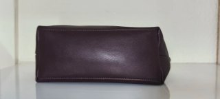 Bolso Zara Morado y Dorado
