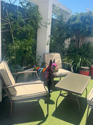 Conjunto Muebles Jardín exterior 4 piezas