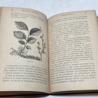 Libro manuale hoepli - Selvicoltura 1891 Santilli