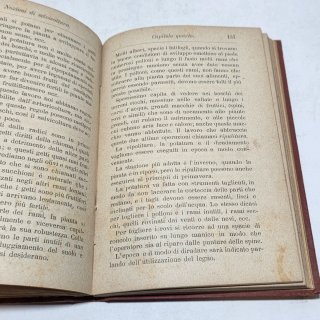 Libro manuale hoepli - Selvicoltura 1891 Santilli