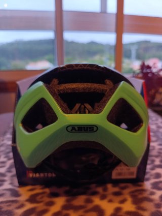Casco Abus Road Viantor Celeste Green M