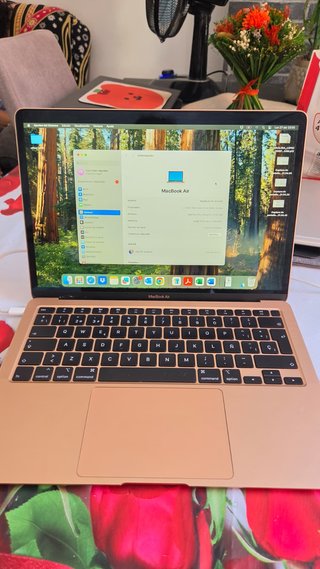 MacBook Air 13” 2020 - Rosa Oro