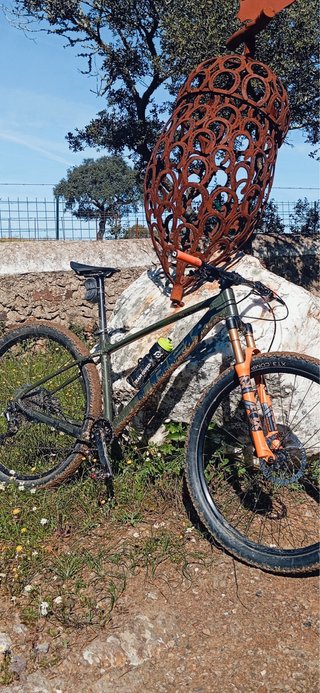 Bicicleta de Montaña