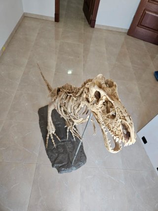 Estatua T-Rex realista