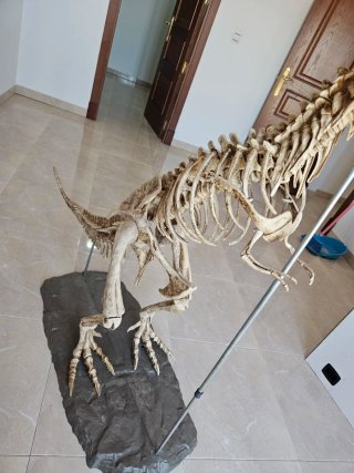 Estatua T-Rex realista
