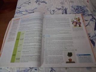 Empresa y Administración