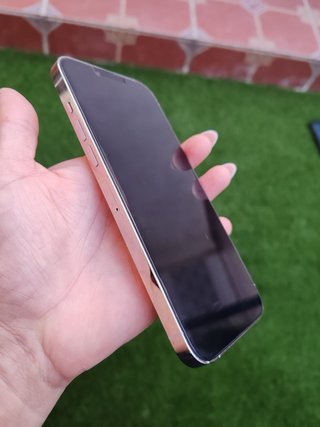 iPhone 13 Pro Max Argento