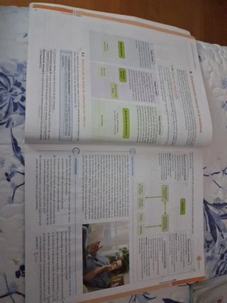 Comunicación empresarial y atención al cliente