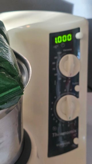 Base Thermomix TM21