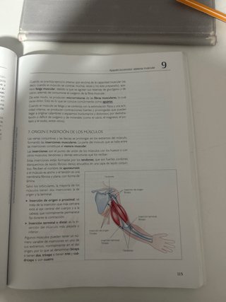 Procesos fisiológicos y de higiene en imagen pe...