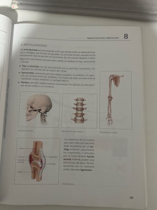 Procesos fisiológicos y de higiene en imagen pe...