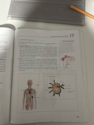 Procesos fisiológicos y de higiene en imagen pe...