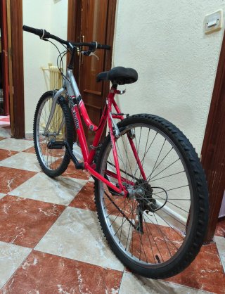Bicicleta de Montaña