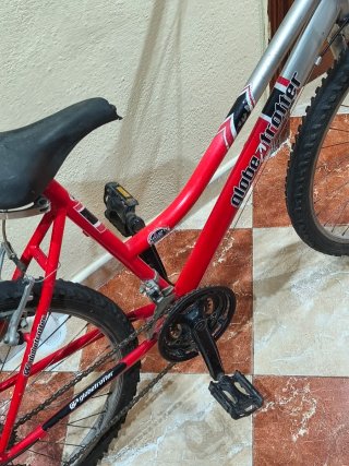 Bicicleta de Montaña