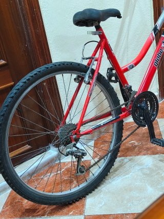 Bicicleta de Montaña