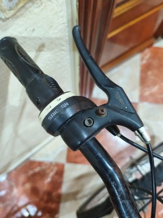 Bicicleta de Montaña