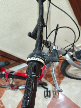 Bicicleta de Montaña