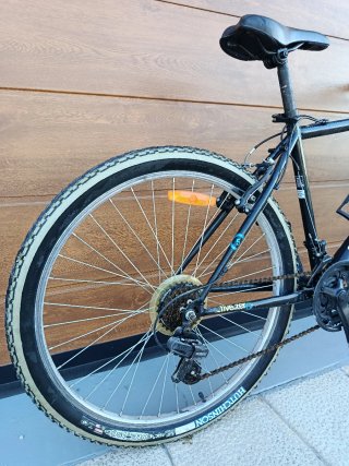 Bicicleta de montaña